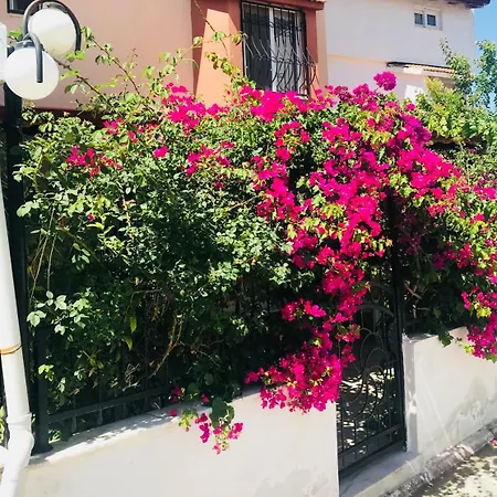 Feriehus Ada Life || Near Ladies Beach - Summer Enjoyment || Nk8 - #117005 Kusadası